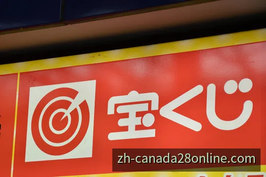 加拿大28计划数据分析与走势研判示意